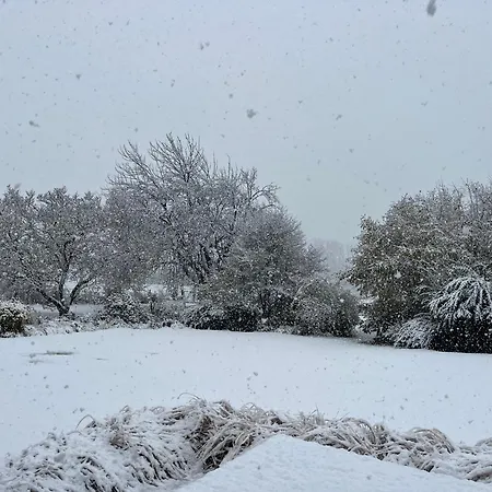 D'hôtes Lucia Avec Vue Sur Jardin Arboré Affittacamere
