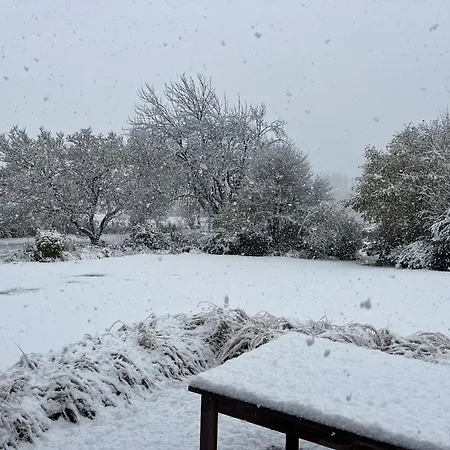 D'hotes Lucia Avec Vue Sur Jardin Arbore