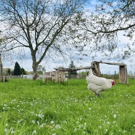 D'hôtes Lucia Avec Vue Sur Jardin Arboré Affittacamere