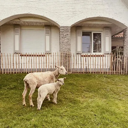 Pensionat D'hotes Lucia Avec Vue Sur Jardin Arbore Tournai